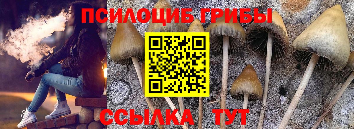 Псилоцибиновые грибы прущие грибы Гурьевск