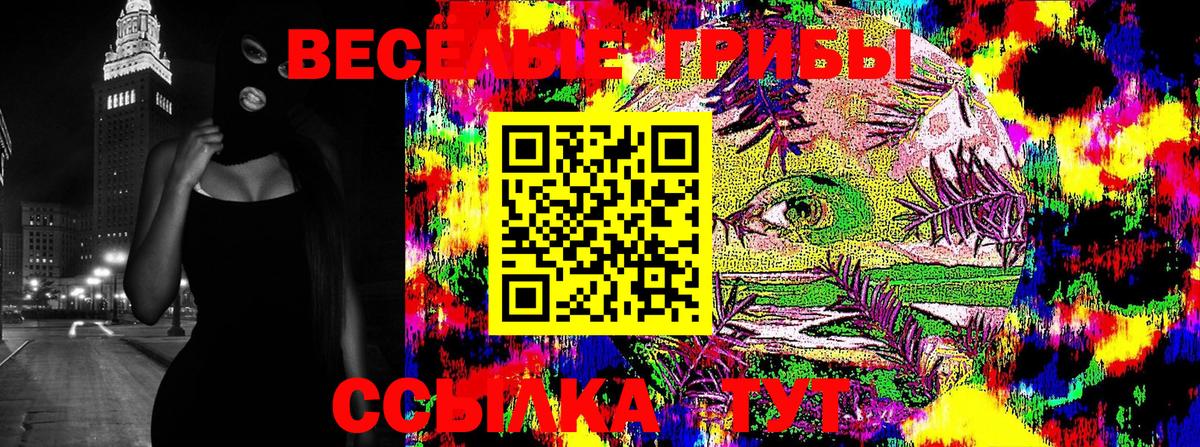 Галлюциногенные грибы MAGIC MUSHROOMS  Псилоцибиновые грибы Psilocybine cubensis  Вход с VPN  Гурьевск 